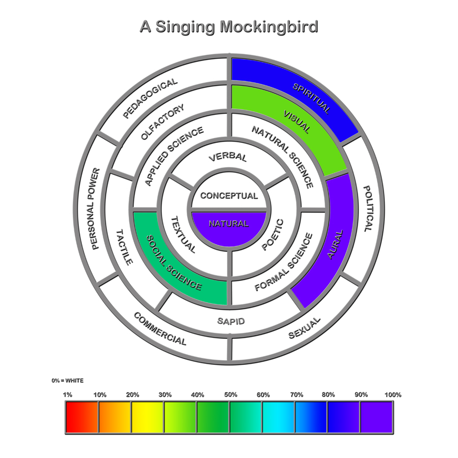 A Singing Mockingbird